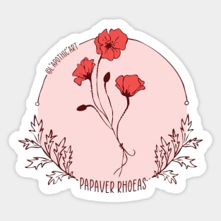 Papaver rhoeas Sticker